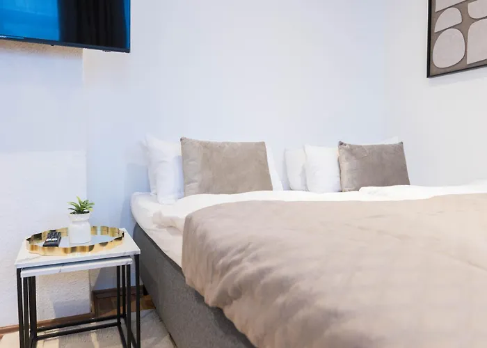 Daire Flowapartment Hof, 24h Checkin, Ir-sauna, Parkplatz, Wlan250mbit Hof (Bavaria)